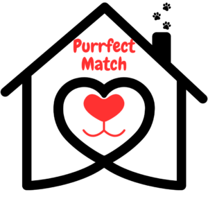 Purrfect Match Purrfect Match