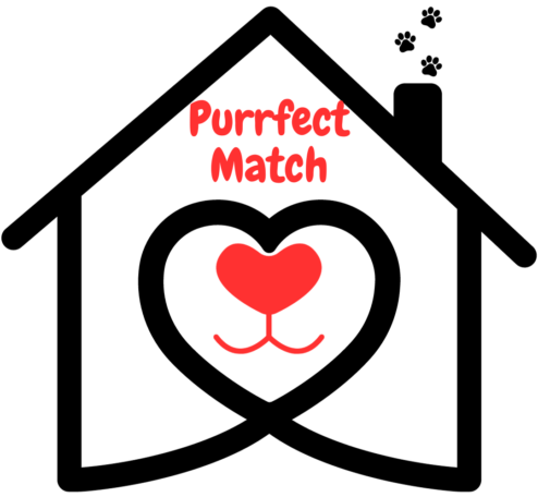 Purrfect Match